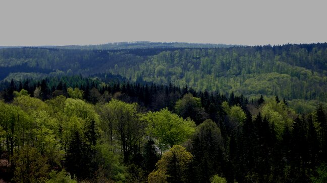 Blick vom Hermannsdenkmal in Richtung Egge (Foto: B. Scheuer)